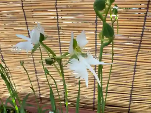 坐摩神社(大阪府)