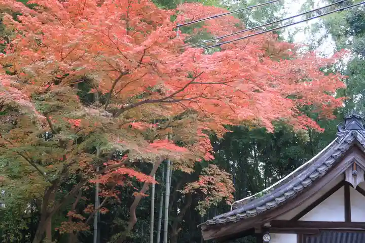 石清水八幡宮の自然