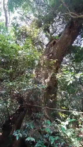 唐臼神社の周辺