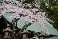 安達太良神社の本殿・本堂