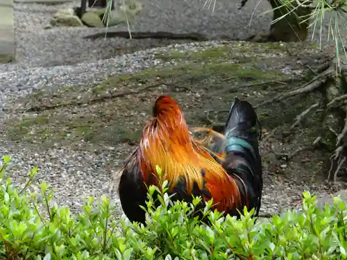 石上神宮(奈良県)