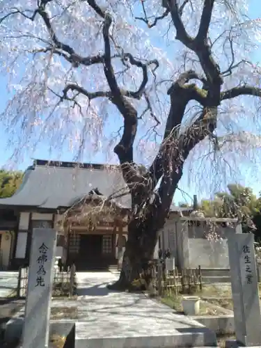 宝善寺(宮城県)
