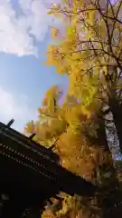 玉敷神社の自然