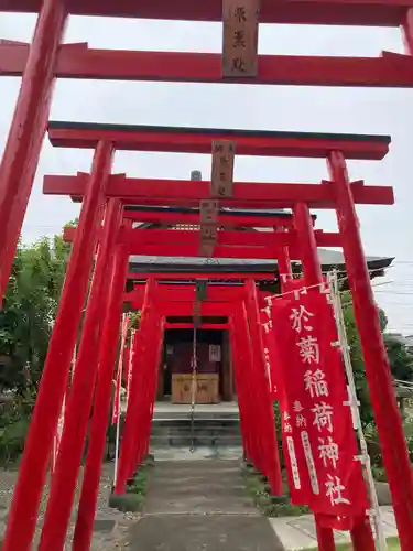 於菊稲荷神社(群馬県)