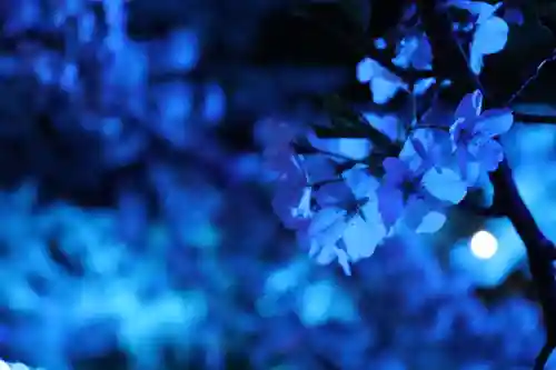 壽徳寺 じゅとくじ(福島県)