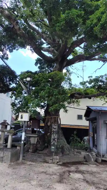 櫟谷七野神社(京都府)