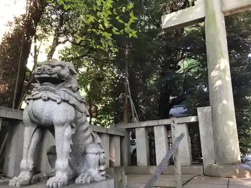 渋谷氷川神社の狛犬