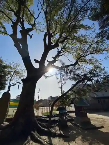 小島神社(岡山県)