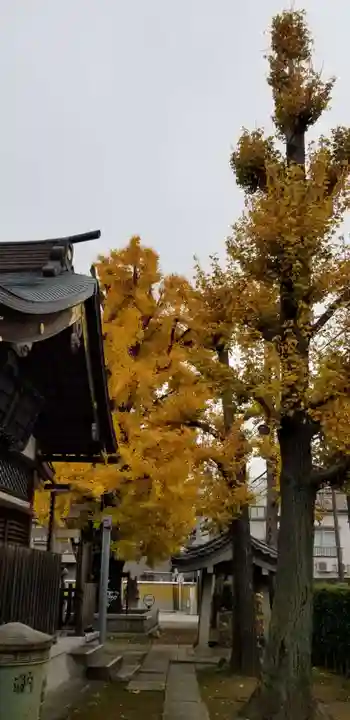 飛木稲荷神社(東京都)