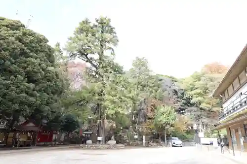 駒込富士神社(東京都)