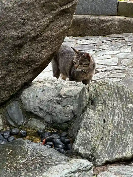 王子神社(徳島県)
