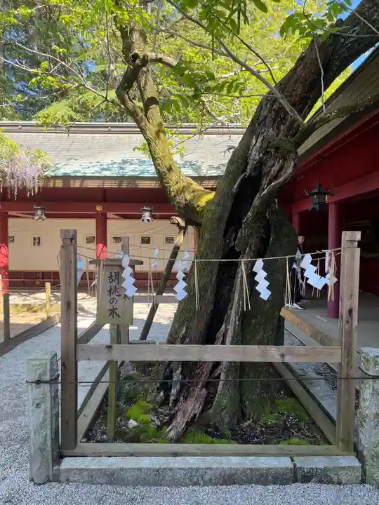 笠間稲荷神社(茨城県)