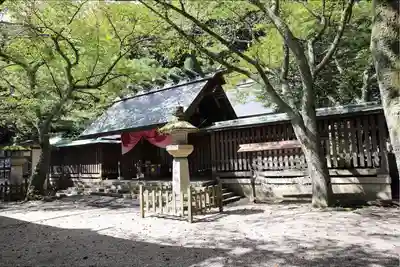 金崎宮の本殿・本堂