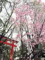 花園神社(東京都)