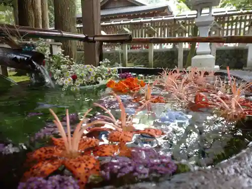 都農神社の手水