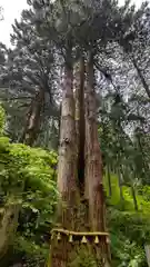 御岩神社の自然