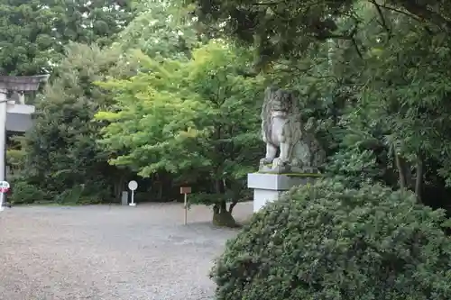 越中一宮 髙瀬神社の狛犬