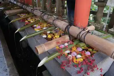 石清水八幡宮の手水舎