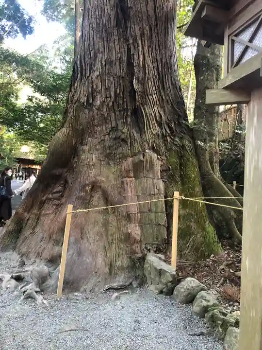 伊勢神宮内宮(皇大神宮)(三重県)