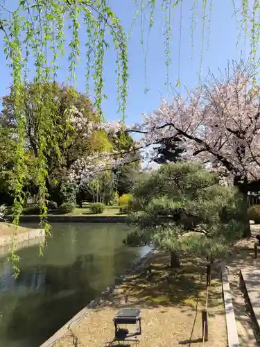東寺（教王護国寺）の庭園