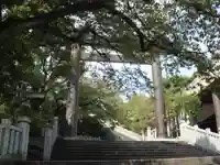 伊勢山皇大神宮の鳥居
