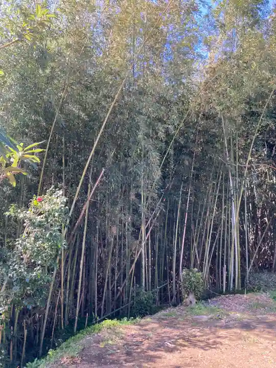 真勝寺(神奈川県)