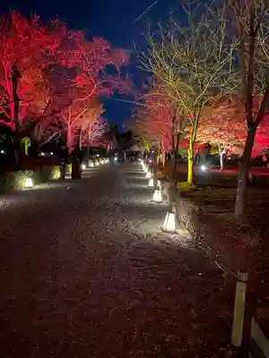 二条天皇 香隆寺陵(京都府)