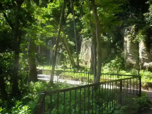 合槌稲荷社跡（遺構）の自然