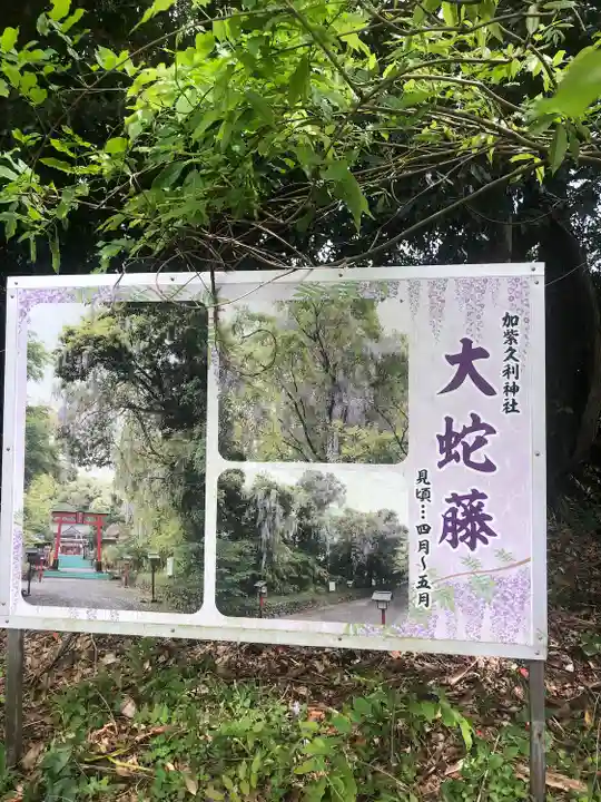 加紫久利神社(鹿児島県)