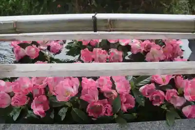 豊景神社の手水舎