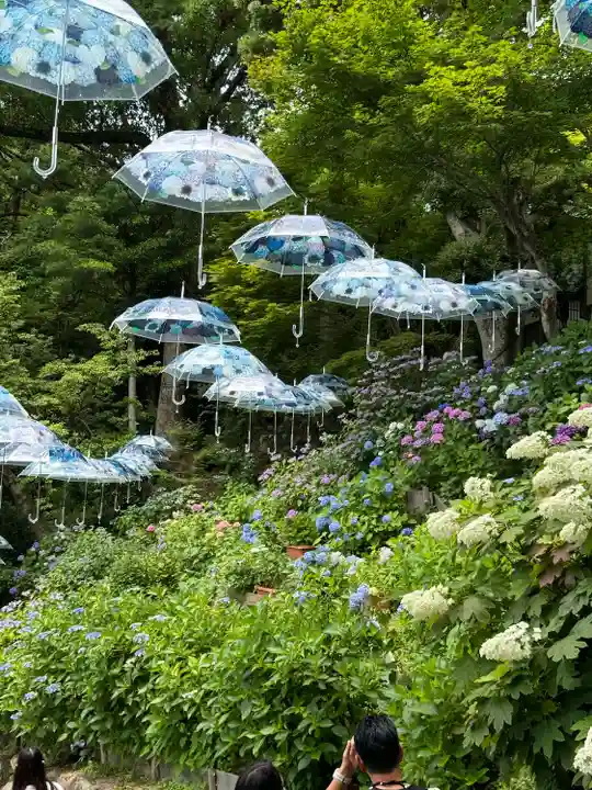 柳谷観音 楊谷寺(京都府)