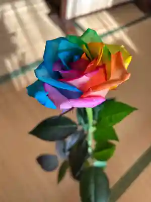 安用寺(愛知県)