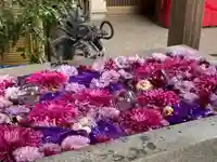 蛇窪神社の手水舎