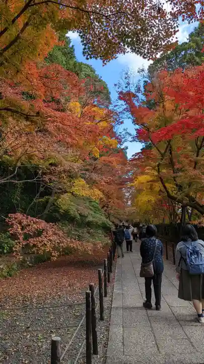 光明寺(粟生光明寺)(京都府)
