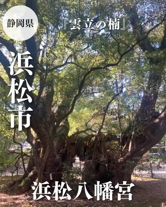 浜松八幡宮(静岡県)