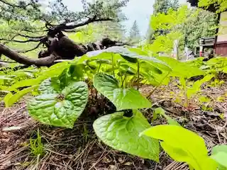 土津神社｜こどもと出世の神さま(福島県)