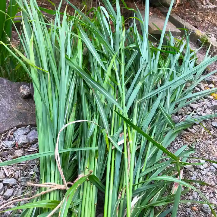 高司神社〜むすびの神の鎮まる社〜のお祭り