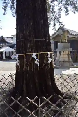 下神明天祖神社(東京都)