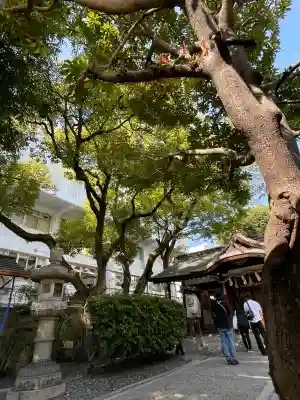サムハラ神社(大阪府)