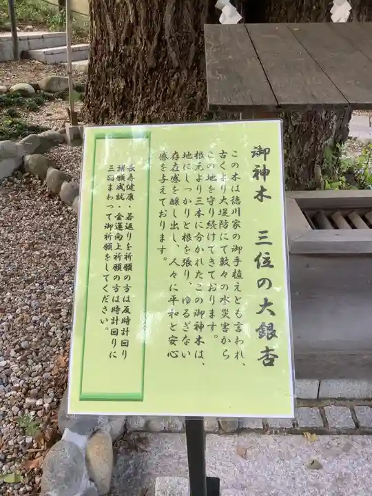 堤治神社の自然