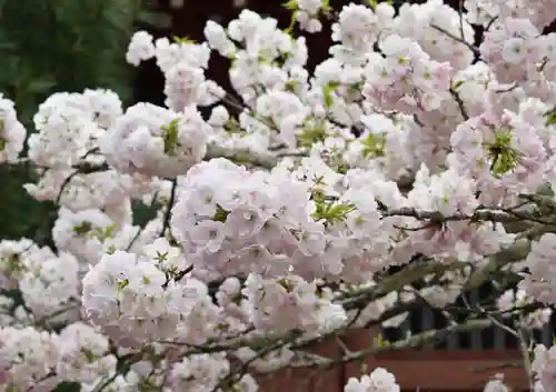 赤堂観音の自然