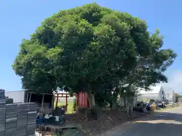 稲荷神社(千葉県)