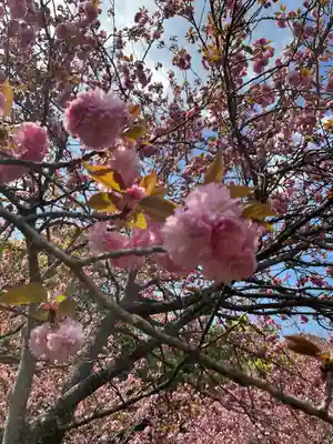 宝満宮竈門神社(福岡県)