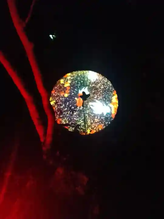 阿智神社の芸術