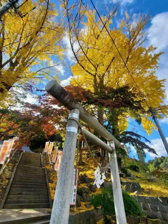 温泉神社〜いわき湯本温泉〜の鳥居