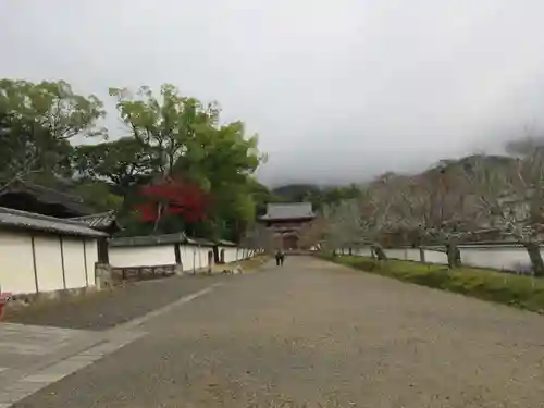 醍醐寺（上醍醐）(京都府)