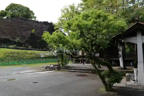 熊本大神宮(熊本県)