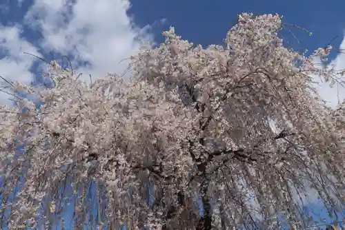 熊野福藏神社の自然