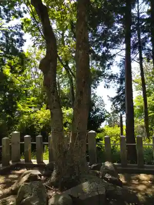 枚岡神社神津嶽本宮(大阪府)