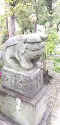 菊田神社の狛犬